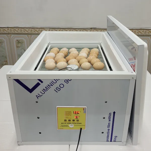Hướng Dẫn Ấp Trứng Gà Bằng Máy Tại Nhà Tỷ Lệ Nở Cao Nhất