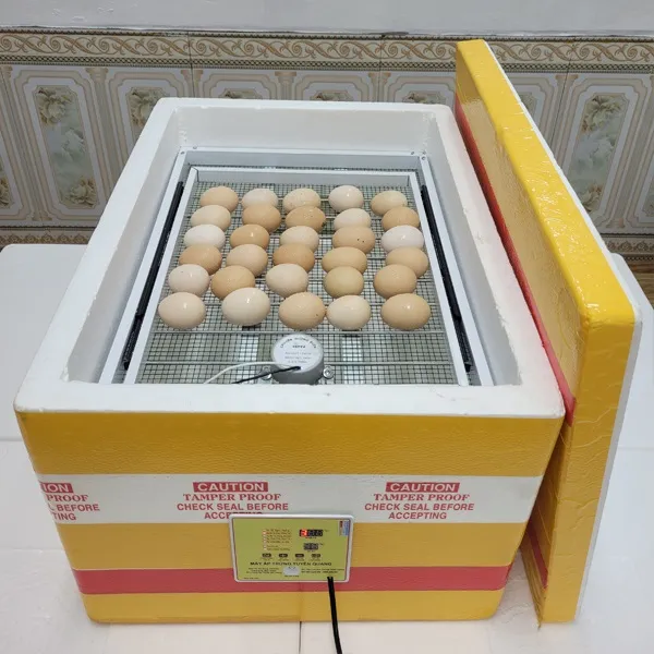 Giải Pháp Xử Lý Lỗi Máy Ấp Trứng Mini: Bí Quyết Giữ Tỷ Lệ Nở 95%