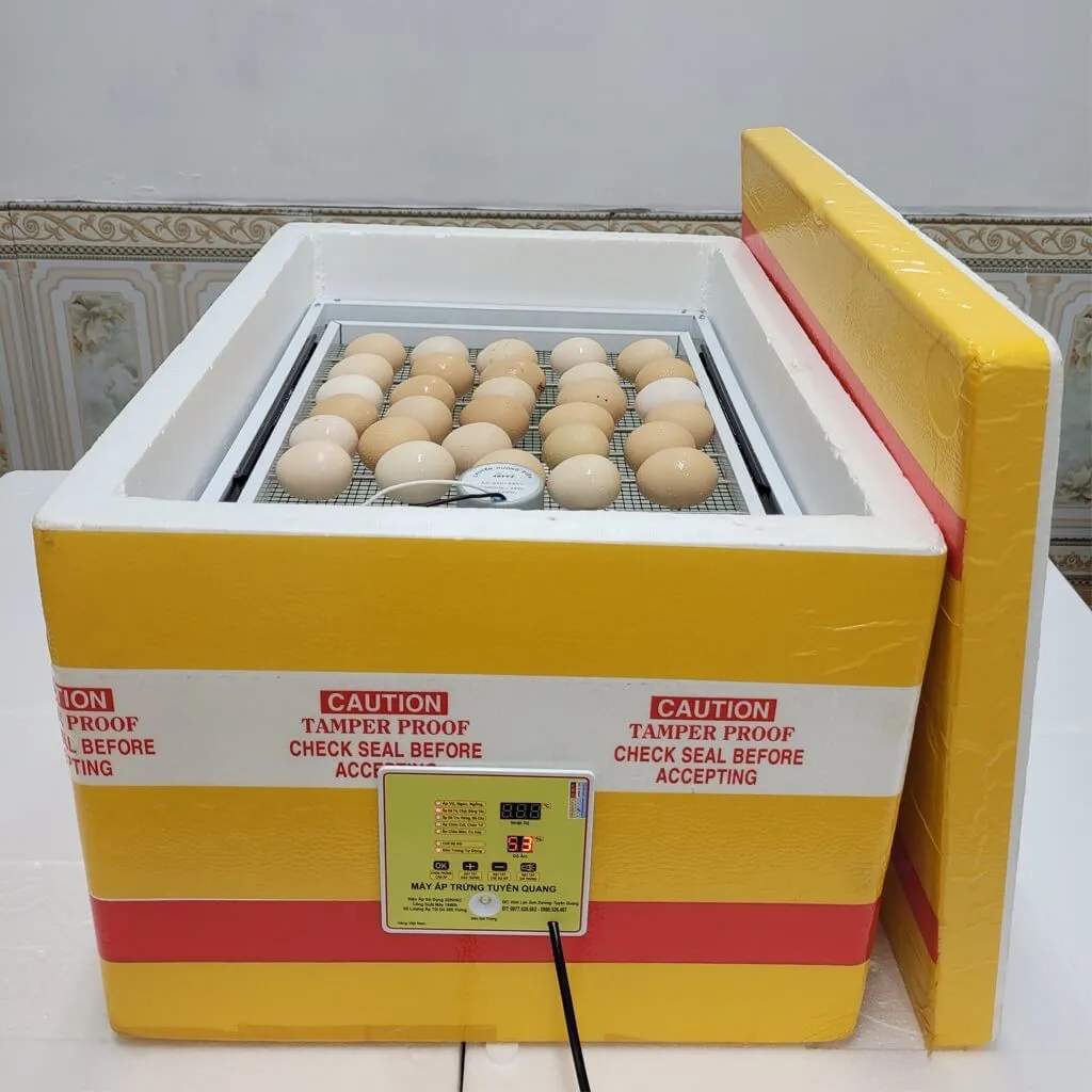 Không xác định