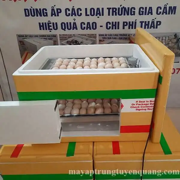Cách Tiết Kiệm Chi Phí Khi Sử Dụng Máy Ấp Trứng Cũ