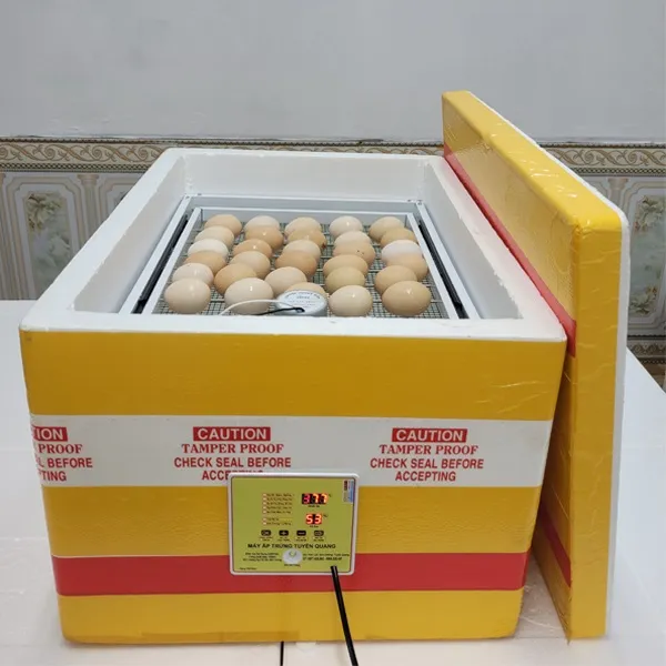 phong-chong-mat-dien-khi-ap-trung-1