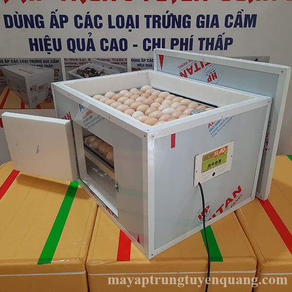 may-ap-trung-ga1 Kinh Nghiệm Chọn Máy Ấp Trứng Gà Tốt Nhất Ở Nghệ An